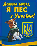 Табличка " Обережно у доврі злий собака, пес ", фото 5