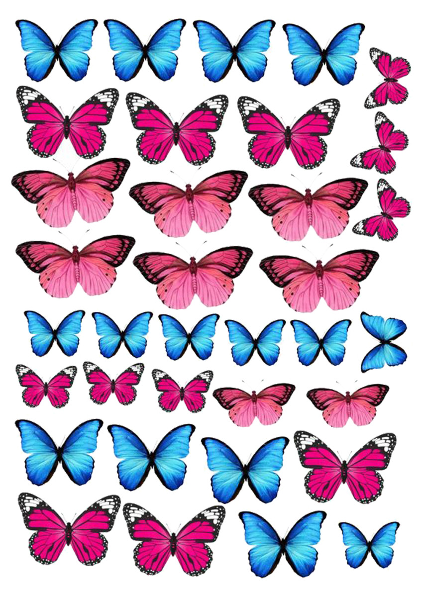 Вафельна картинка Метелики №3