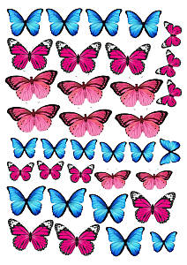 Вафельна картинка Метелики №3