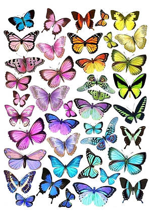 Вафельна картинка Метелики №4, фото 1