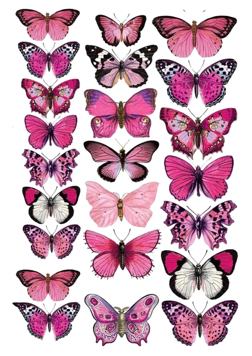 Вафельна картинка Метелики №5