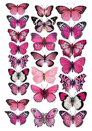 Вафельна картинка Метелики №5, фото 1