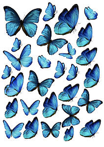 Вафельна картинка Метелики №6