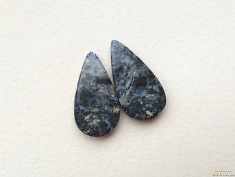 Дендроопал - кабошон (пара)