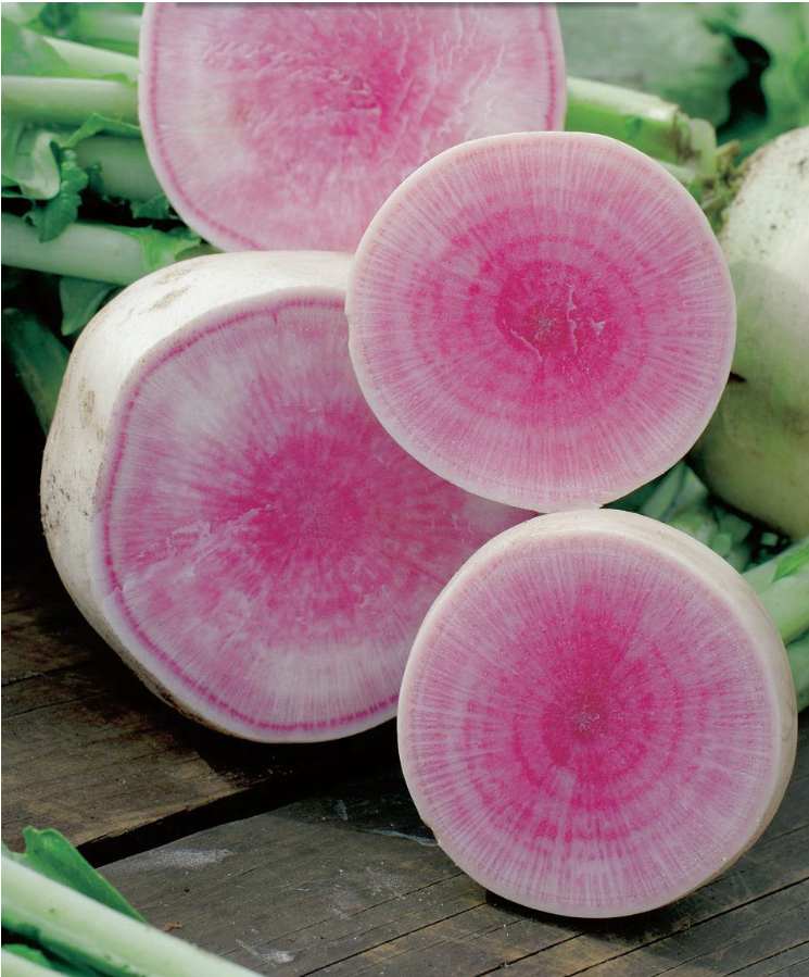 Ред Міт / Red Meat редька 100 г Takii Seed, фото 1