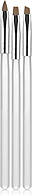 Nails Molekula Набір пензлів для нарощування гелем і дизайну нігтів з прозорою ручкою (3 ШТ)