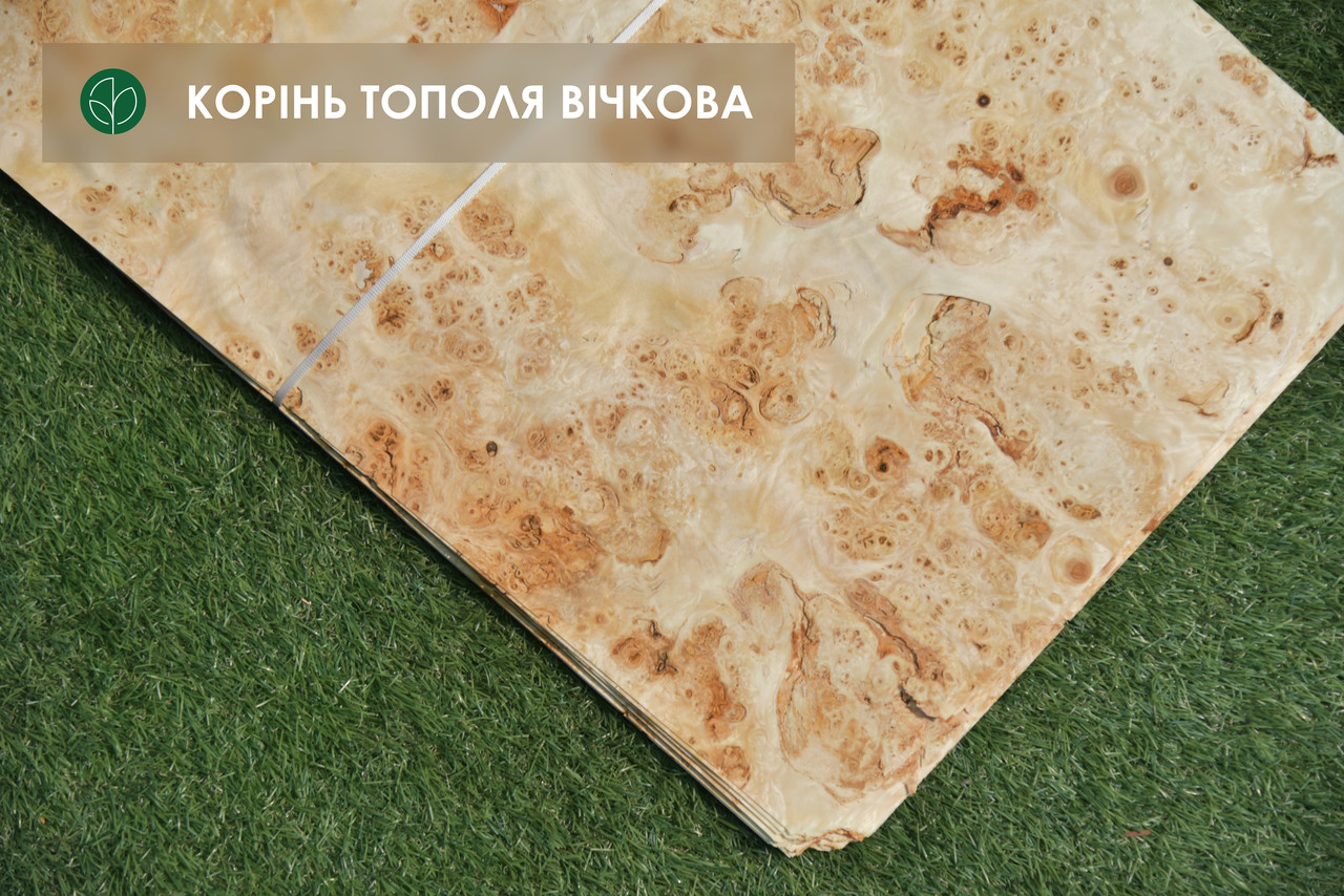 Шпон тополі корінь 0,7 мм, довжина: 2.10 м.