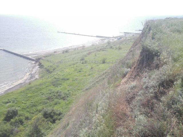 Природа в Коблево Природа в Коблево