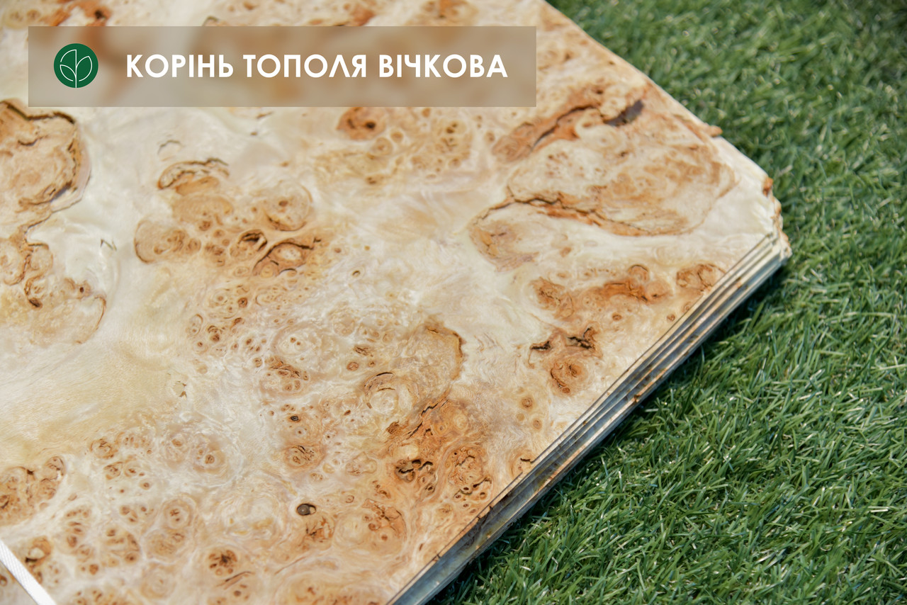 Тополя вічкова шпон 0,7 мм, довжина від 3.10 м., фото 1