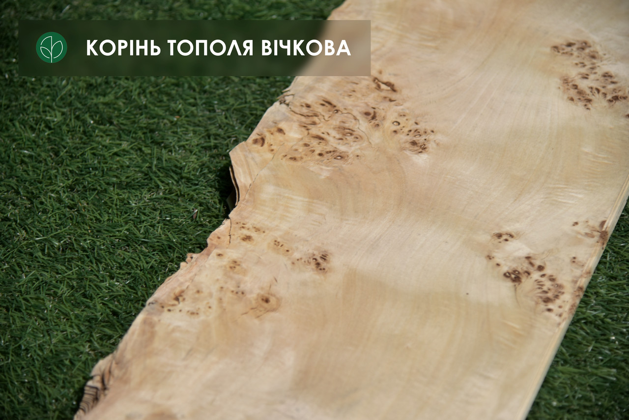Шпон капу тополі вічкової 0,6 мм - Logs/ Singl
