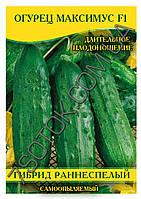 Насіння огірка Максимус F1, самозапильні, пакет, 100г