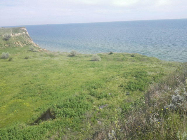 Природа в Коблево Природа в Коблево