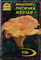 Міцелій гриба, 10г, Лисичка Жовта