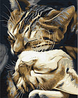 Картина по номерам "Спящие котики", 40*50см, Brushme, BS29747