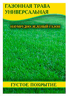 Семена газонной травы Универсальная, пакет, 100 г