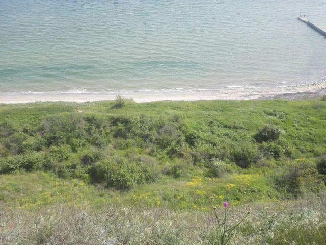 Море в Коблево Море в Коблево