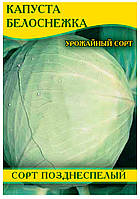 Насіння капусти Білосніжка, пакет, 100г
