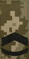 Погон штаб-сержант ЗСУ зелёный пиксель (ММ14)