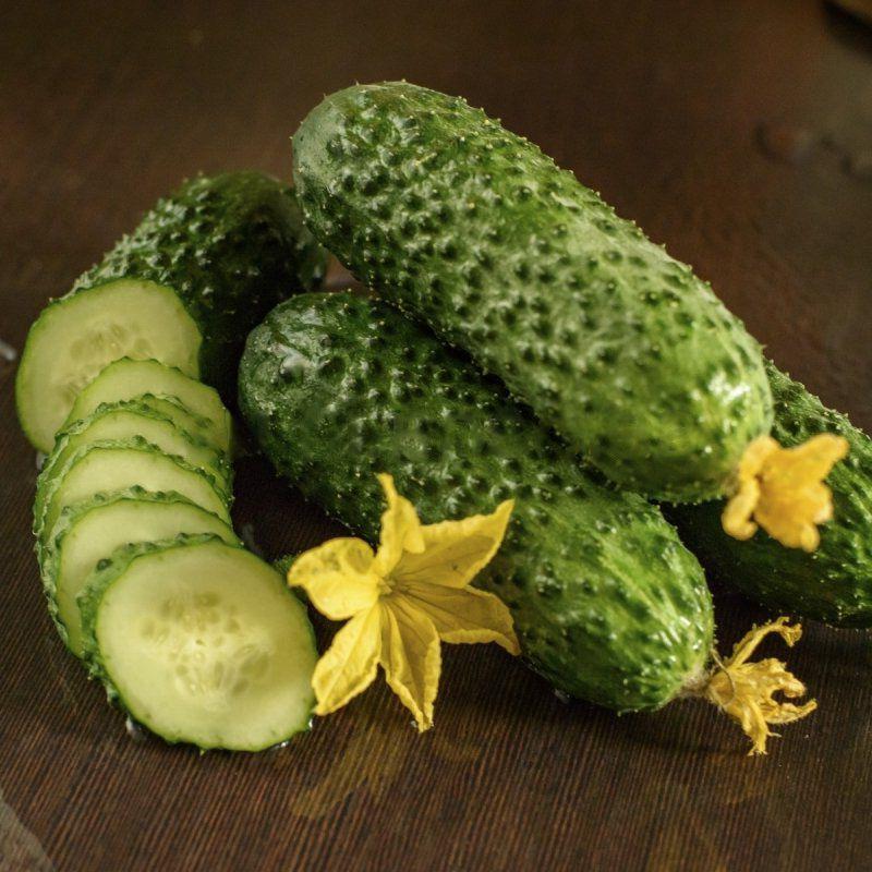 Насіння огірка Абсолют F1 (Absolut F1) Bejo 1000