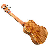 Укулеле OSTEN UK 32 24 концерт, фото 5