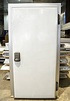 Распашные двери морозильной камеры - Люкс 1ств ППУ100 900х1900