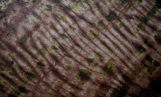 Тканина ручного фарбування розмір 42х70см основа домоткане полотно колір "Осінь у Карпатах"