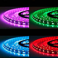 Світлодіодна стрічка OEM ST-12-5050-60-RGB-20, негерметична, 1м, фото 8