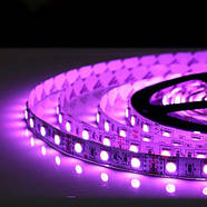 Світлодіодна стрічка OEM ST-12-5050-60-RGB-20, негерметична, 1м, фото 9