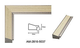 Пластиковий багет для рам AM2816-5037