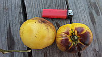 Семена томата Sart Roloise. Или Сарт Ролауз. Высокорослый, среднеспелый сорт.