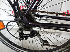 Гірський велосипед Rixe 26 колеса 21 швидкість, фото 3