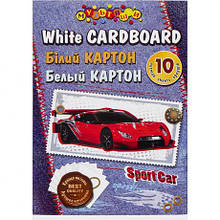 Білий картон А4 10 аркушів "Коленкор" 7582/7583 Аляска MZOPT