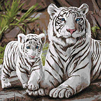 Картина по номерам 40×40 см. Тигры Бенгальская семья. Идейка. КНО4376