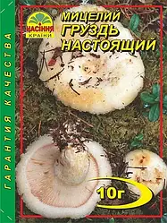 Міцелій гриба Груздь справжній, 10 г