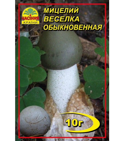 Міцелій гриба Веселка (лікувальний), 10 г
