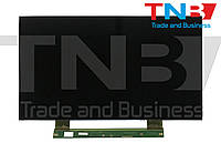 Матриця AIO 23.6 HD 1366x768 30pin, разъем слева V236BJ1-P01 Toshiba 24LE1653DG