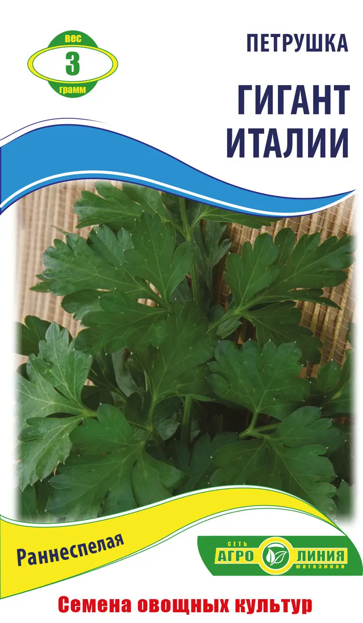 Насіння листяної петрушки "Гігант Італії" 3 г (тм "Агролінія")