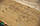 Сорочка зі шпону капу дуба — АВ ґатунок 0,6 мм 2,44 м/1,22 м, фото 3