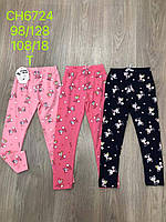 Лосини для дівчат оптом, S&D,98-128 см, № CH-6724, фото 2