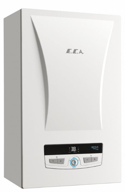 E.C.A. Arceus EK 9 CH