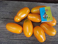 Семена томата Обэриг. Раннеспелый, низкорослый, урожайный сорт