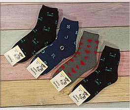 Шкарпетки дитячі Friendly Socks 4031020-007 сер. махра різні кольори р.20 (уп.12 пар)