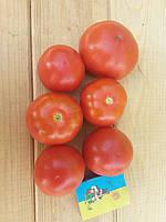 Семена томата Джереми Роник. Раннеспелый, урожайный коктейльный томат.