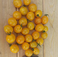Черри Yellow Quartz Multiflora. Высокорослый, урожайный, среднеспелый сорт
