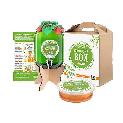Купить Чайный Гриб Набор для приготовления Комбучи Средний KomBUCHA BOX ...