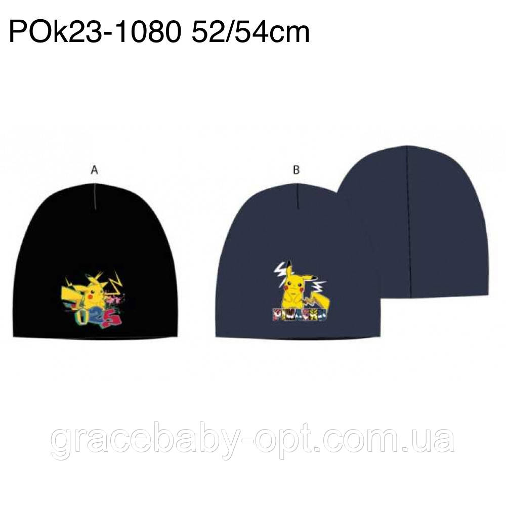 Шапки для хлопчика оптом, Disney, 52-54 см, № POk23-1080