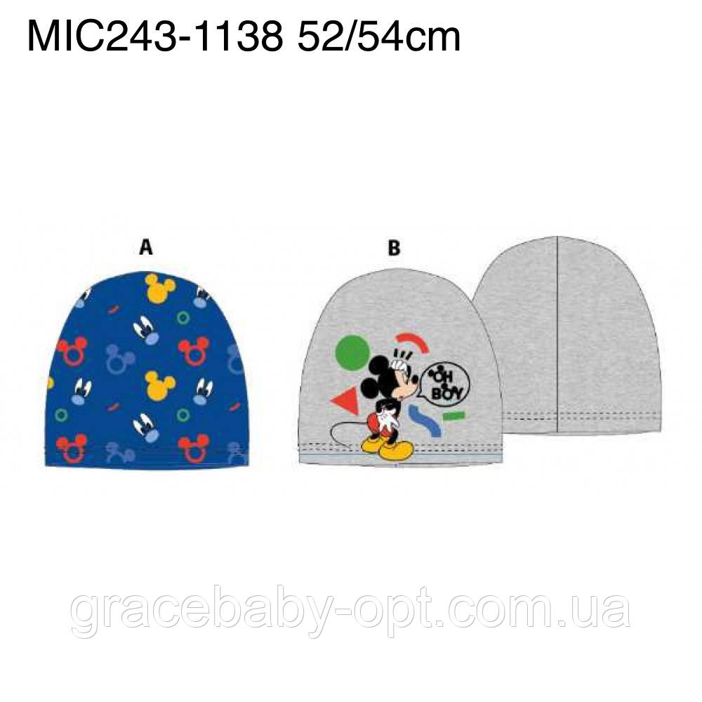 Шапки для хлопчика оптом, Disney, 52-54 см, № MIC243-1138