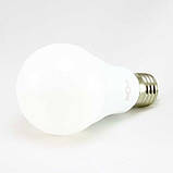 Лампочка світлодіодна E27 15W 4500К (білий нейтральний). Biom BT-516, фото 4