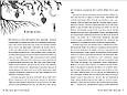 Книга По той бік неба - Манів Г. (978-617-8248-01-7), фото 4