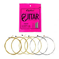 Струни для акустичної гітари 6шт 12-53", 0.30-1.34мм, Orphee TX640